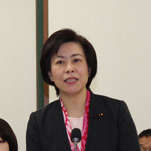 平成30年 第1回定例会総括質疑 甲田 ゆり子議員