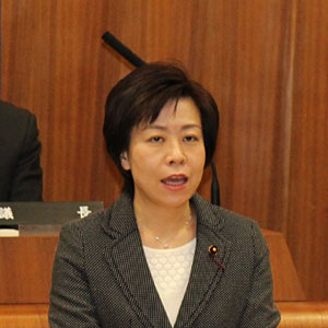 平成29年 第1回定例会 賛成討論 甲田 ゆり子議員